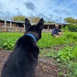 Carroll St Community Farm’s avatar